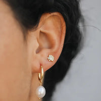 Seashell Earring